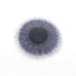 Handgeschilderde lens