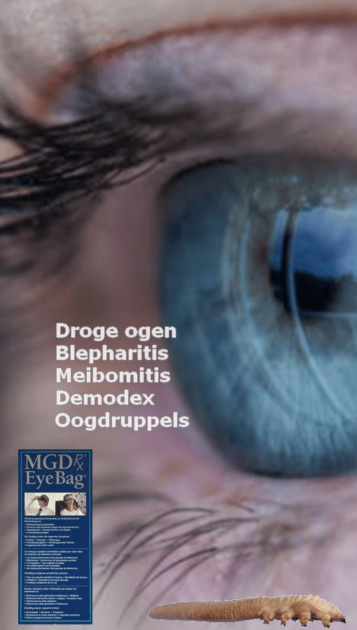 Blepharitis-banner